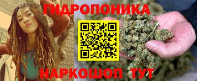 гидра Новокубанск