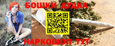 гидра Новокубанск