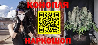 гидра Новокубанск