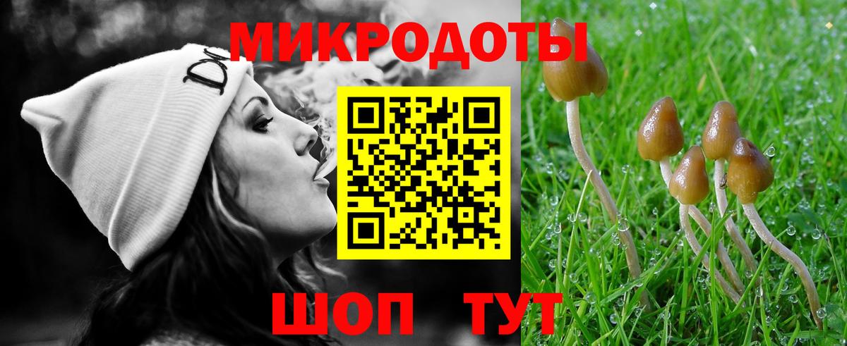 Галлюциногенные грибы прущие грибы  Псилоцибиновые грибы Psilocybine cubensis  Алейск  дарнет шоп  Вход с VPN 